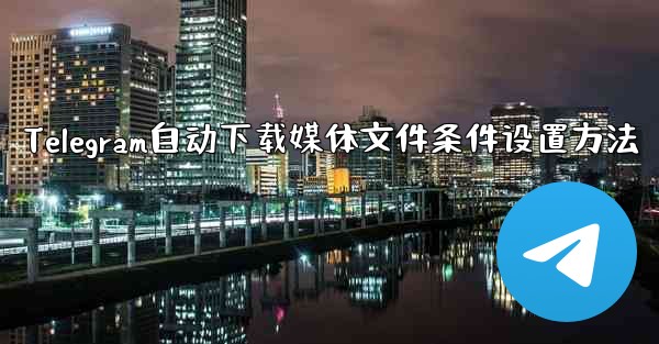 Telegram自动下载媒体文件条件设置方法