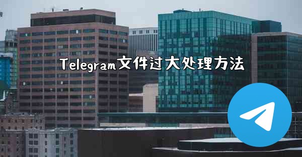 Telegram文件过大处理方法