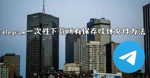 Telegram一次性下载所有保存媒体文件方法