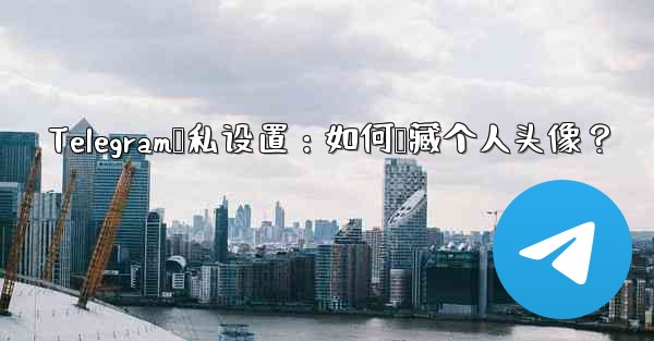 Telegram隐私设置：如何隐藏个人头像？