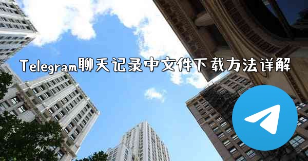 Telegram聊天记录中文件下载方法详解