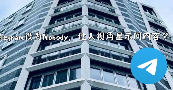 Telegram设为Nobody，他人视角显示何内容？