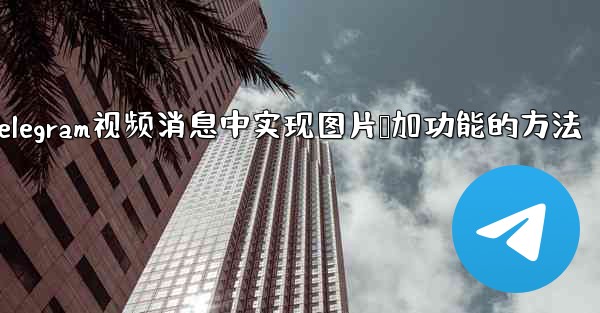 Telegram の「Video Message」にピクチャー・イン・ピクチャー再生を実装するにはどうすればよいですか？;Telegram视频消息中实现图片叠加功能的方法