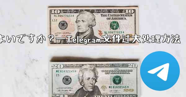 Telegram が「ファイルが大きすぎるため処理できません」というプロンプトを表示した場合はどうすればよいですか？—Telegram文件过大处理方法