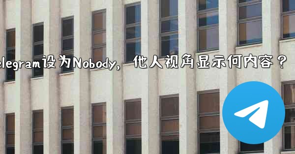 Telegram を「Nobody」に設定すると、他の人には何が表示されますか？-Telegram设为Nobody，他人视角显示何内容？