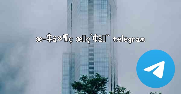 æ–‡ä»¶ç æœç´¢å™¨ telegram