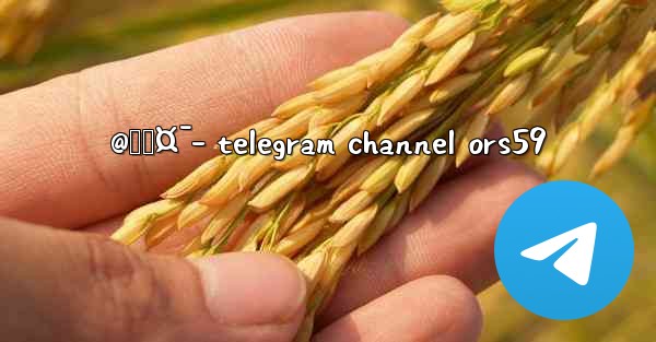 @ğŸ¤¯- telegram channel ors59