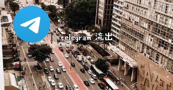 telegram 流出