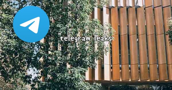 telegram leaks