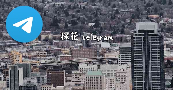 探花 telegram