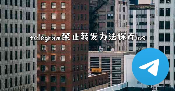 telegram禁止转发方法保存ios