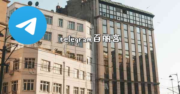 telegram百丽宫