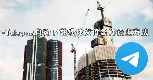 Telegram がメディア ファイル (写真、ビデオ、ドキュメント) を自動的にダウンロードするための条件 (モバイル データ、Wi-Fi) を設定するにはどうすればよいですか？-Telegram自动下载媒体文件条件设置方法