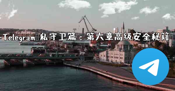 telegram[doge]-Telegram隐私守卫篇：第六章高级安全秘籍