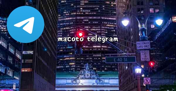 macoto telegram