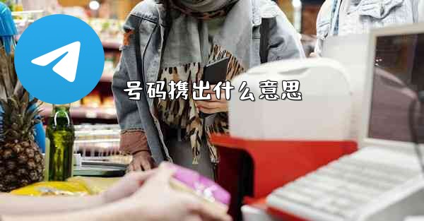 号码携出什么意思