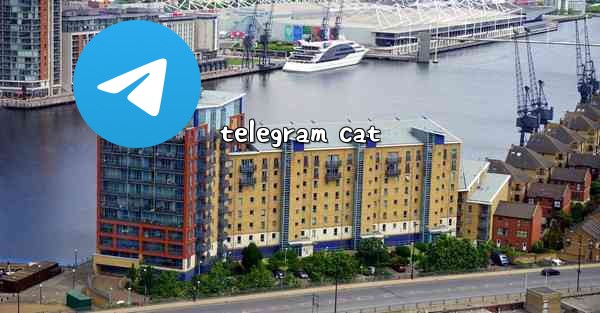 telegram cat