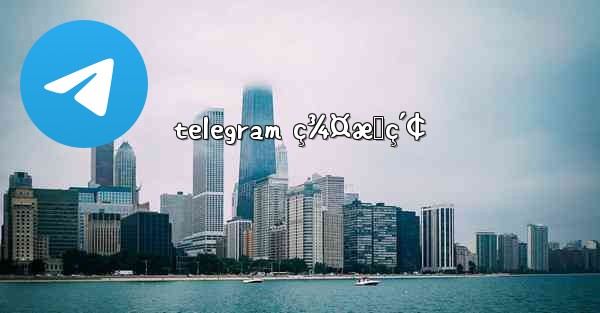 telegram ç¾¤æœç´¢