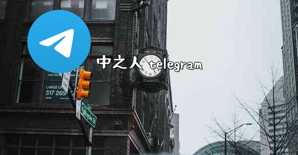 中之人 telegram