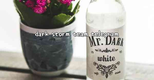 dark storm team telegram
