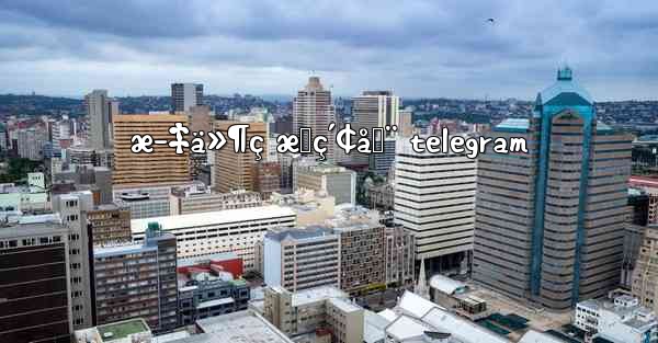 æ–‡ä»¶ç æœç´¢å™¨ telegram