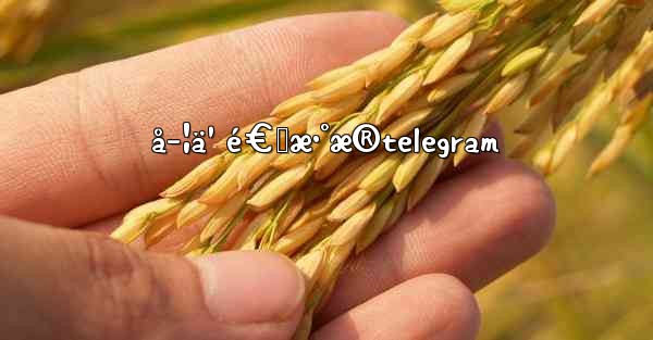 å­¦ä¹ é€šæ•°æ®telegram