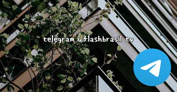 telegram uflashbrasil tv