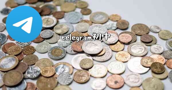 telegram初中