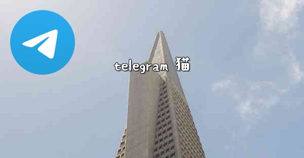 telegram 猫