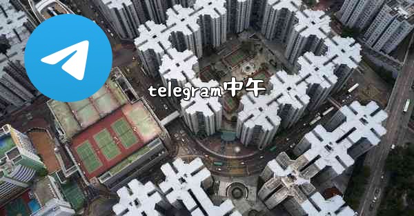 telegram中午