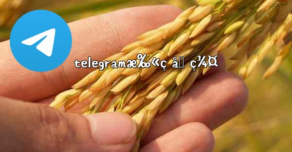 telegramæ‰«ç åŠ ç¾¤