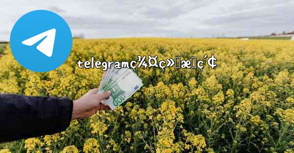 telegramç¾¤ç»„æœç´¢