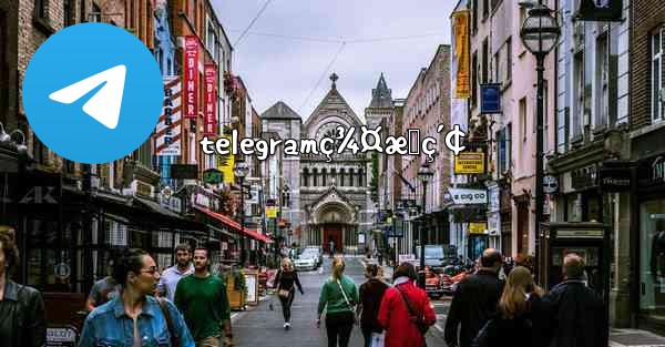 telegramç¾¤æœç´¢