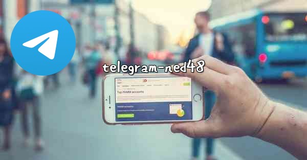 telegram-ned48